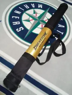 Item thumbnail for item 6e04504a-1e4d-43e4-a2e5-706fdf770019