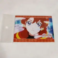 わんだふるプリキュア　プリティストア　ブロマイド　兎山悟