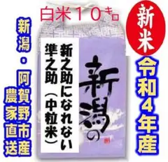 新米・令和4年産新潟 新之助になれない準之助 白米10キロ1個★農家直送★色彩済