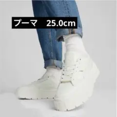 Item thumbnail for item 4cb6a0c9-a236-4ef0-9fa8-9d825efadb12