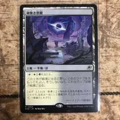 MTG 神無き祭殿　土地R