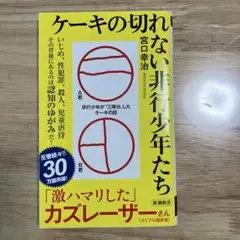 ケーキの切れない非行少年たち　宮口幸治