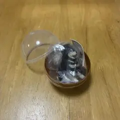 アヒルと犬 柴犬 黒柴