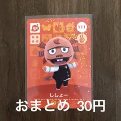 111ししょー あつまれどうぶつの森amiiboカード
