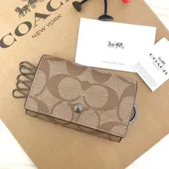 Item thumbnail for item ede6e740-bed0-4b7e-bf76-72700f77d7f5