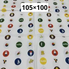 Item thumbnail for item 045bedb9-bdb5-49b4-b546-2f9875cc3bdc