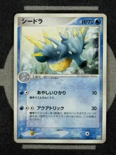 【10点2500円引き】シードラ