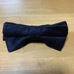 Item thumbnail for item beb9afd5-c52e-4b0f-8c4d-d1ebbf76abb8