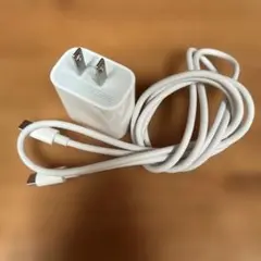 apple ACアダプター20W出力とUSB-C toC ケーブル140cm