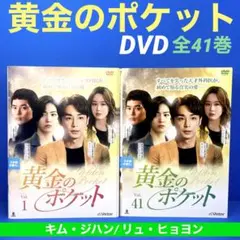 黄金のポケット DVD 全41巻 ★キム・ジハン/ リュ・ヒョヨン