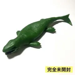 ダコサウルス　海の恐竜&co.