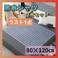 Item thumbnail for item 003023a4-3a6c-4d8c-9d17-3db5f0f8a039