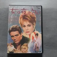 女は夜の匂い DVD