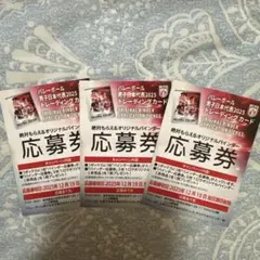 龍神NIPPON 男子バレーボール　トレカ2025 バインダー応募券3枚セット