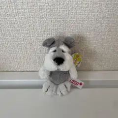 NICI シュナウザー