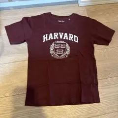 Garb HARVARD Tシャツ 5T バーガンディ