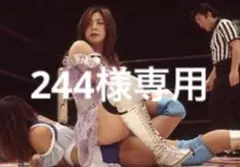 全日本女子プロレス写真