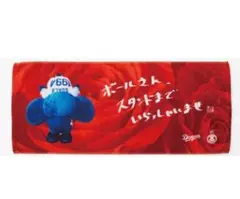 【匿名配送】名古屋高島屋限定　ドアラ　フェイスタオル　中日ドラゴンズ