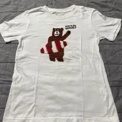 コーエン　くまＴシャツ 150㎝