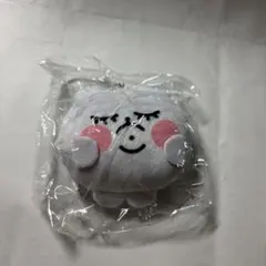 2025年最新】ちみたん ぬいぐるみ あにゃの人気アイテム - メルカリ