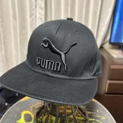 プーマ puma LS カラーブロック スナップバック