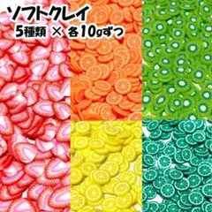 【計50g】5種類のフルーツ・スライス済 ソフトクレイ 樹脂粘土 フレーク