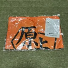 Item thumbnail for item 4115217a-0bbb-4b50-9eda-669439be581b