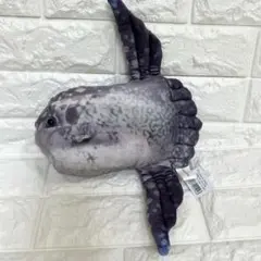 マンボウ　リアル　ぬいぐるみ　水族館