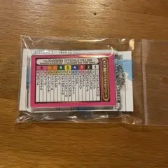 2022年 第74回阪神ジュベナイルフィリーズ 想い出馬券ホルダー 阪神JF