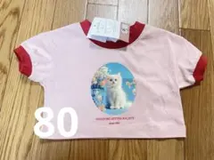 Item thumbnail for item 1f3a7221-b761-4452-9b4d-edc5cc189c7c
