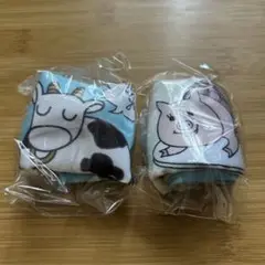 Mercari Proxy Shopping with Doorzo