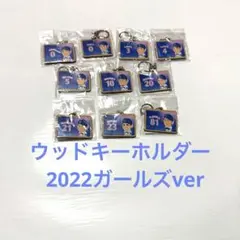 横浜DeNAベイスターズ ウッドキーホルダー 2022ガールズver セット