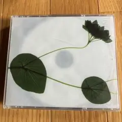 邦楽CD 今井美樹　1986