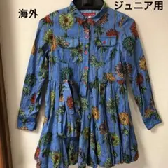 Item thumbnail for item 150288c4-ddc4-4bc0-8482-2a664ed39f92