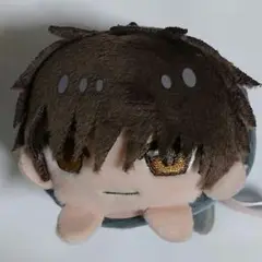2025年最新】カードキャプターさくら・ぬいぐるみ・大道寺知世の