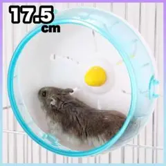 Item thumbnail for item 7c9d4024-842f-4d25-ba52-c5cc41b2afdf