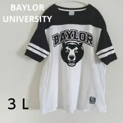 BAYLOR UNIVERSITY ベイラー大学 クマ ３Ｌサイズ