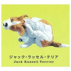 〚 匿名配送 〛カイカイ　ジャック・ラッセル・テリア　灰色メロン