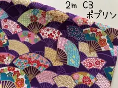 Item thumbnail for item b28c19af-4504-471d-bf9a-0919e37f62da