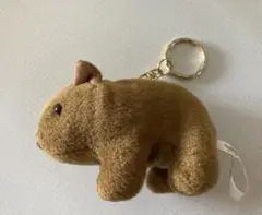 マスコット　ウォンバット