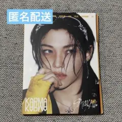 karma　アルバム　アコーディオン　CD 開封済み　フィリックス