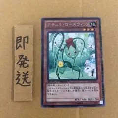 b546 ナチュルローズウィップ DTC2 1枚