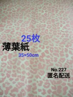 Item thumbnail for item f619c5e2-3d21-446e-954d-5cedac986849
