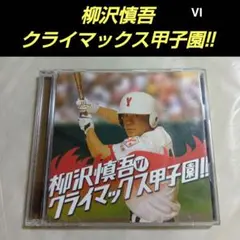柳沢慎吾のクライマックス甲子園!!