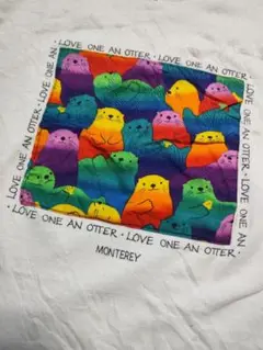 FRUIT OF THE LOOM フルーツオブザルーム 半袖 Tシャツ
