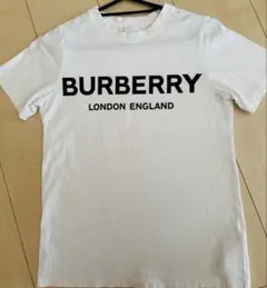 BURBERRY ロゴ Tシャツ 女性大人も