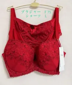 トリンプ　すっきりスムースブラ ブラ＆ショーツセット　39 Y3 A1 RL1