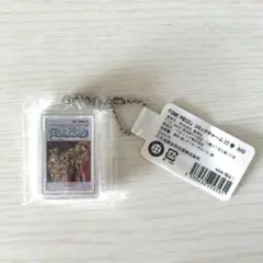 ONE PIECE コミックチャーム 22巻