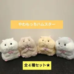 コンプリート★やわもっちハムスター