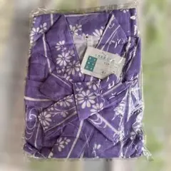 Item thumbnail for item e3115f77-b82f-4e49-8725-b178e47826a9